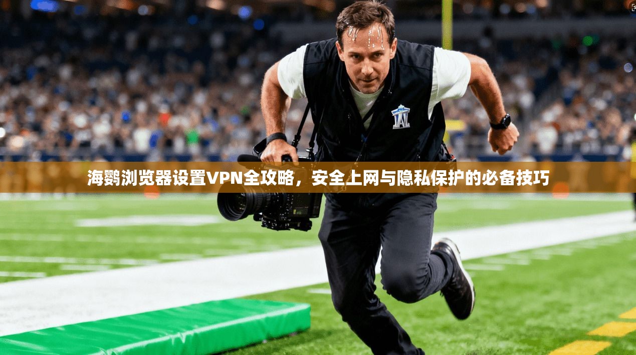 海鹦浏览器设置VPN全攻略,安全上网与隐私保护的必备技巧 海鹦浏览器设置VPN全攻略,安全上网与隐私保护的必备技巧