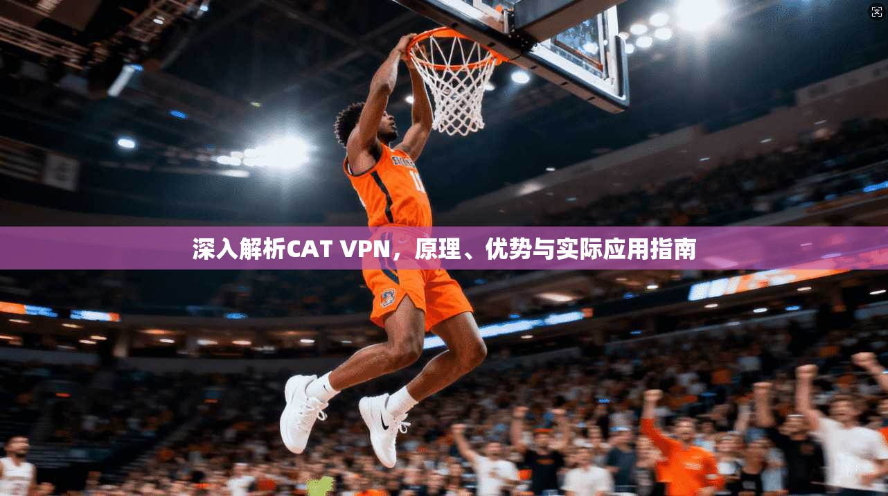 深入解析CAT VPN，原理、优势与实际应用指南
