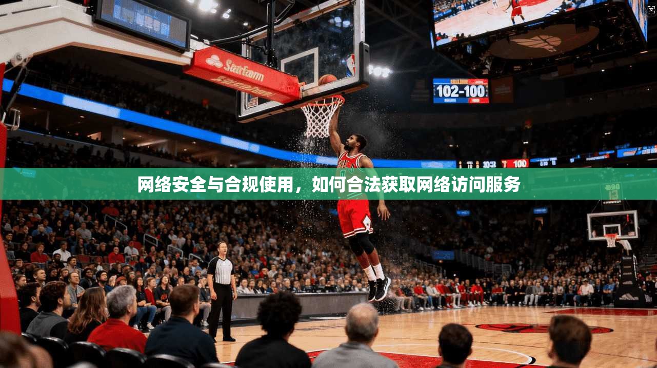 网络安全与合规使用，如何合法获取网络访问服务