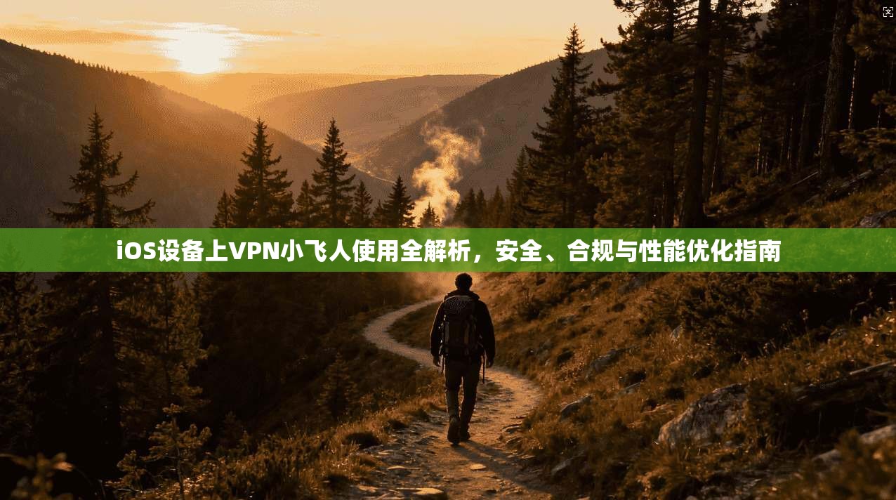 iOS设备上VPN小飞人使用全解析，安全、合规与性能优化指南
