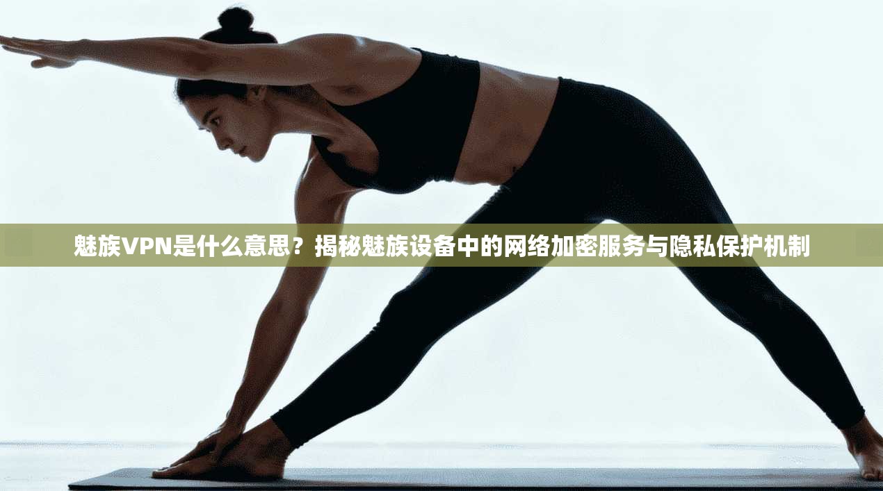 魅族VPN是什么意思？揭秘魅族设备中的网络加密服务与隐私保护机制
