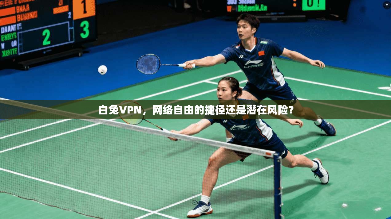 白兔VPN，网络自由的捷径还是潜在风险？