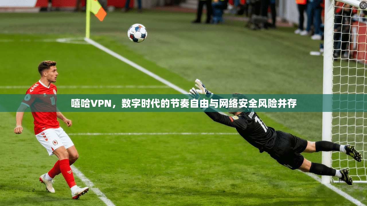 嘻哈VPN，数字时代的节奏自由与网络安全风险并存