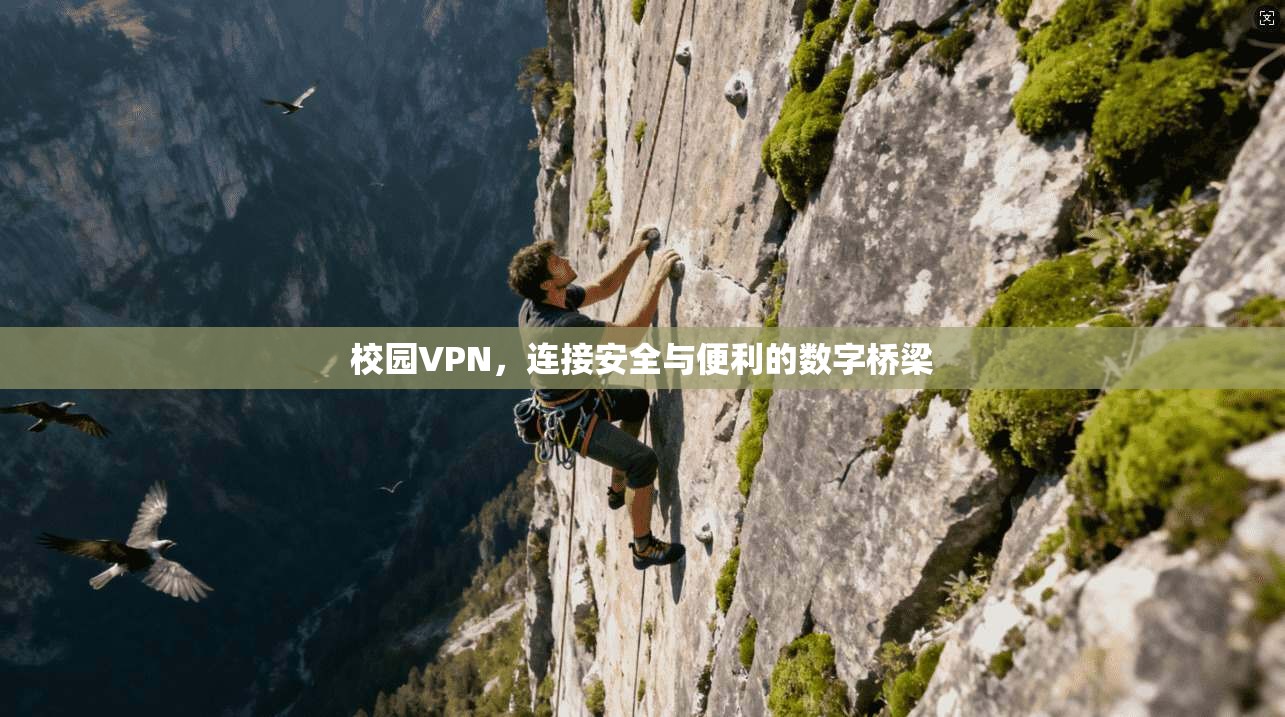 校园VPN，连接安全与便利的数字桥梁