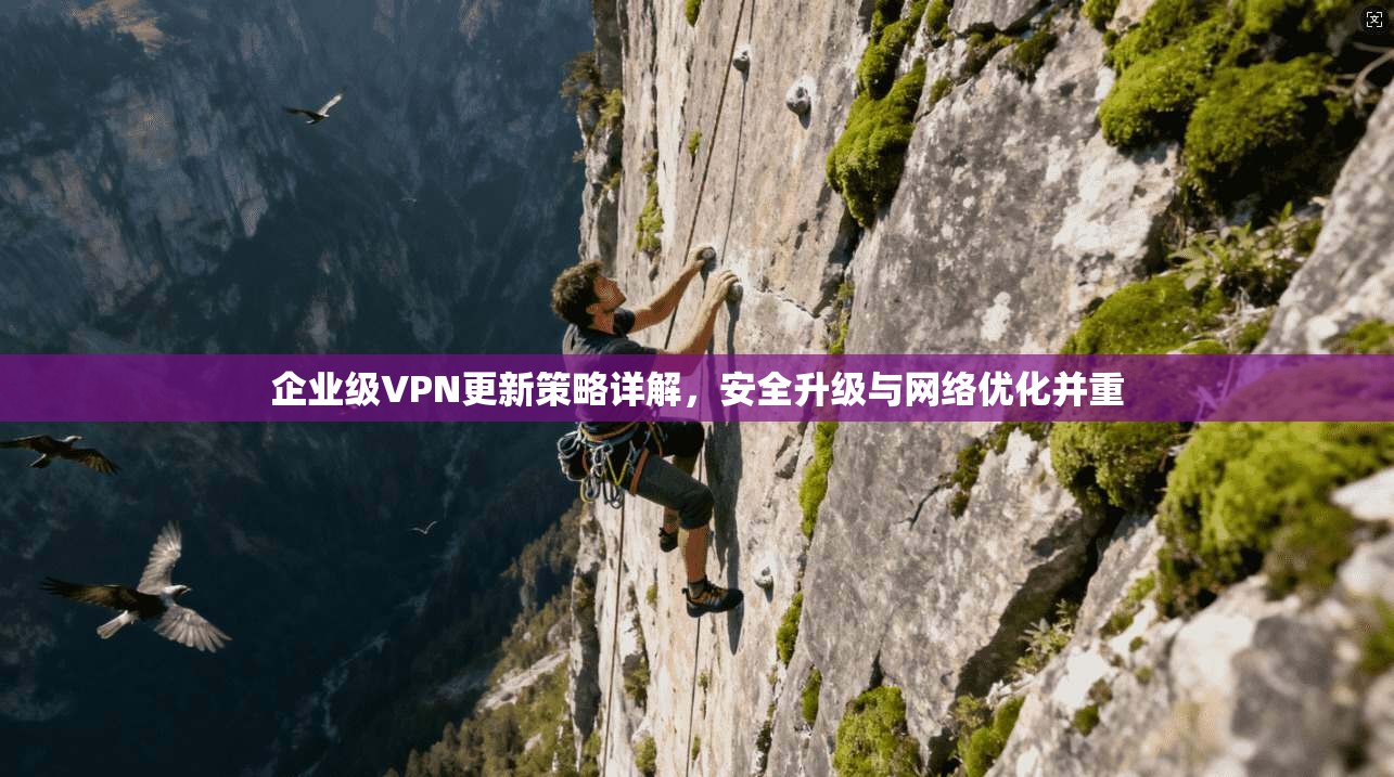 企业级VPN更新策略详解，安全升级与网络优化并重