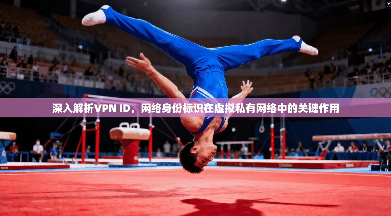 深入解析VPN ID，网络身份标识在虚拟私有网络中的关键作用
