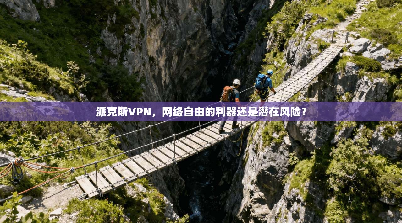 派克斯VPN,网络自由的利器还是潜在风险? 派克斯VPN,网络自由的利器还是潜在风险?