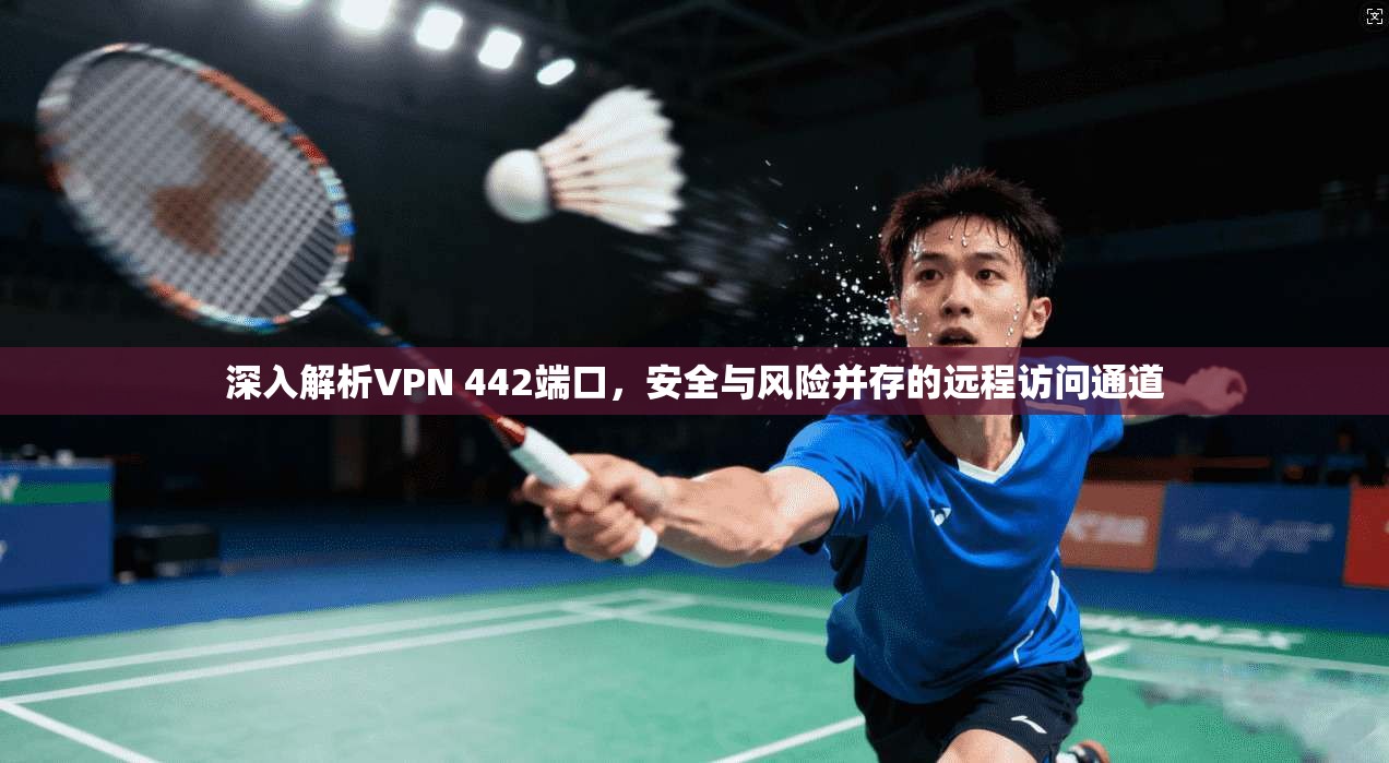 深入解析VPN 442端口，安全与风险并存的远程访问通道
