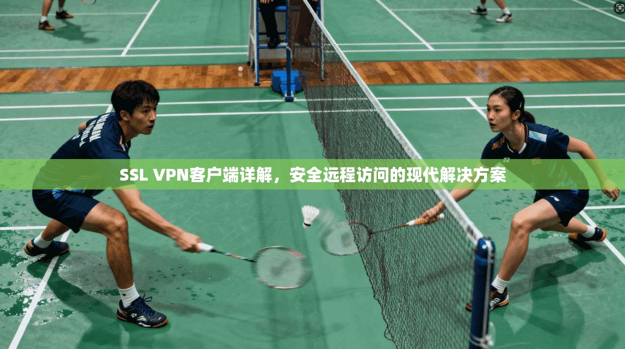 SSL VPN客户端详解，安全远程访问的现代解决方案