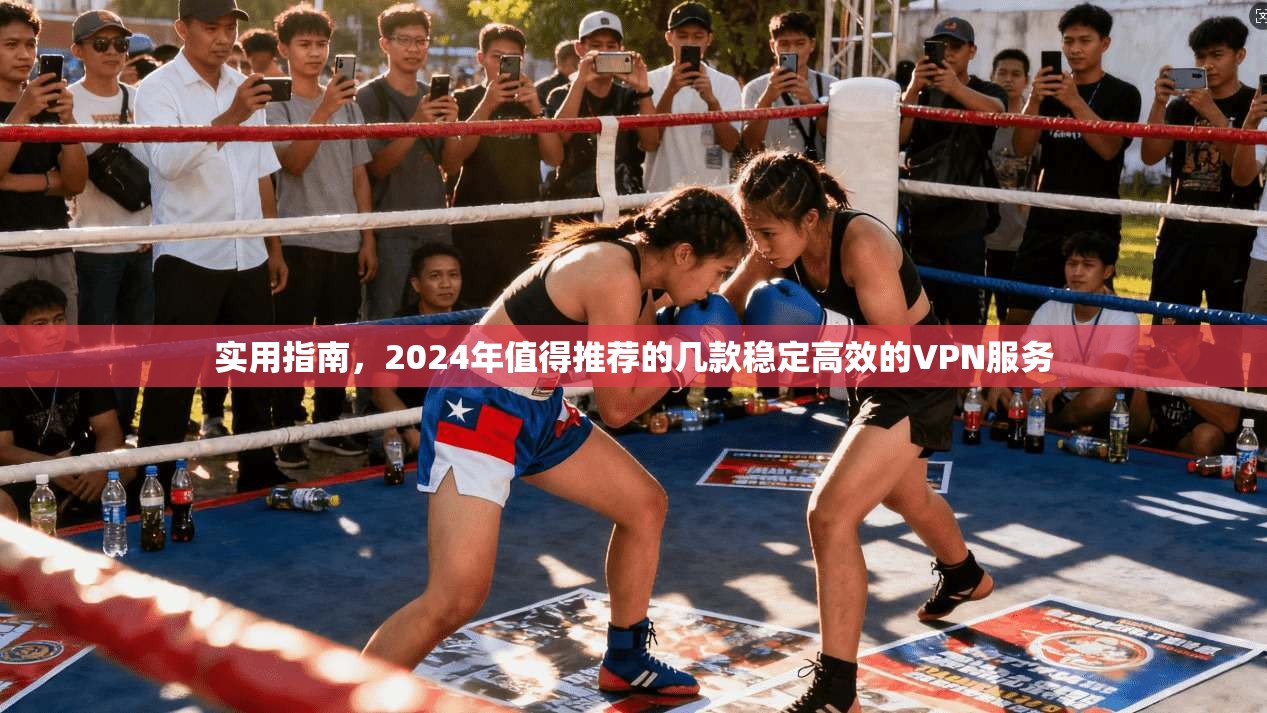 实用指南，2024年值得推荐的几款稳定高效的VPN服务
