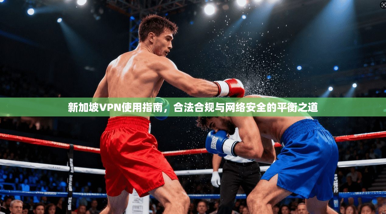 新加坡VPN使用指南，合法合规与网络安全的平衡之道