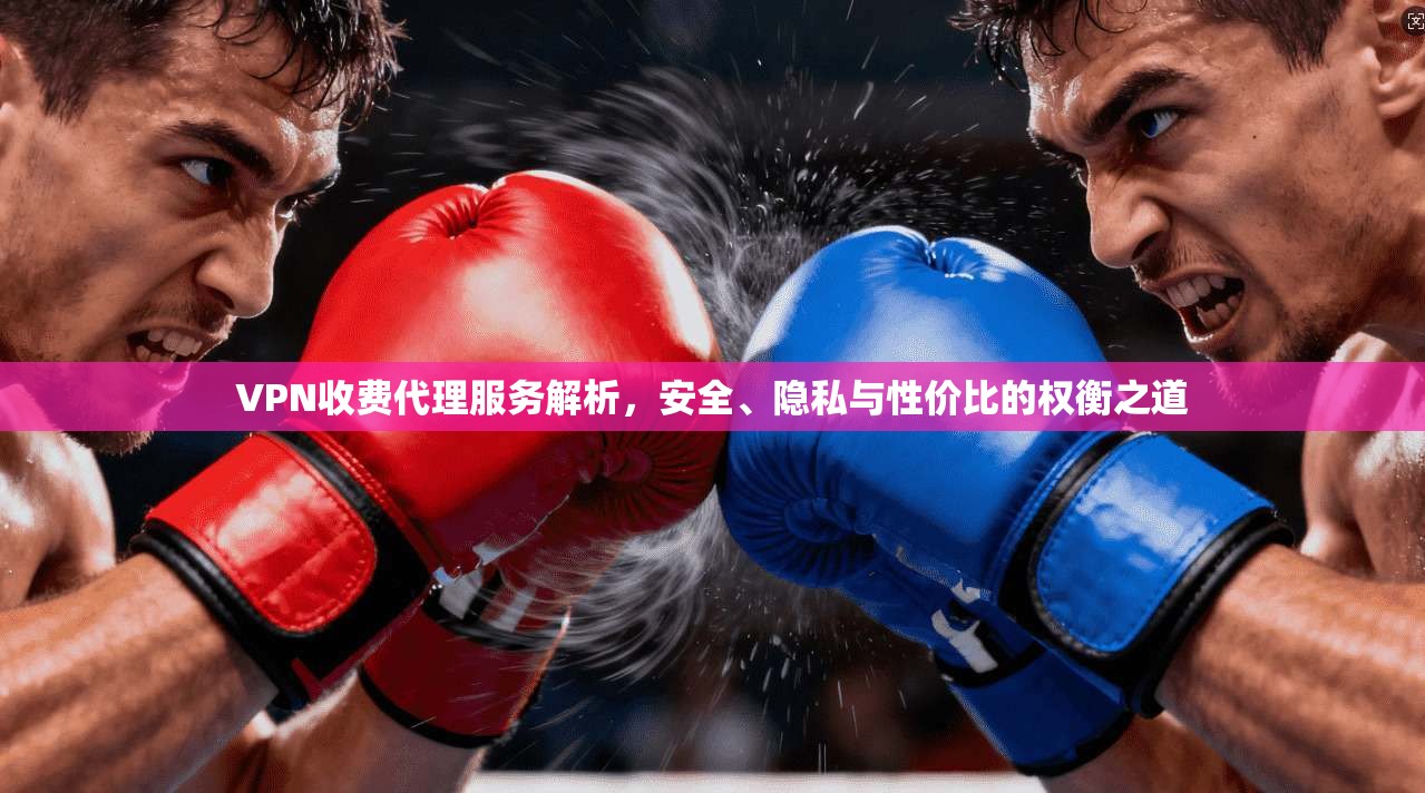 VPN收费代理服务解析，安全、隐私与性价比的权衡之道