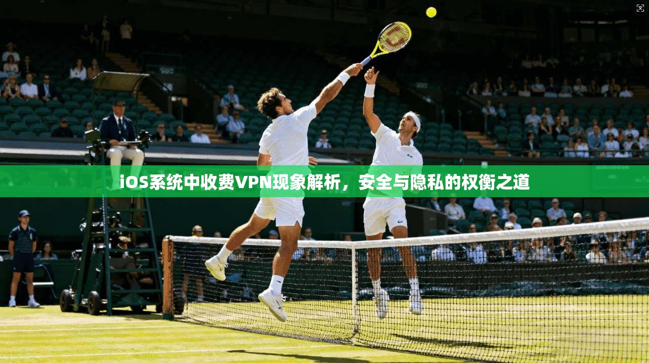 iOS系统中收费VPN现象解析,安全与隐私的权衡之道 iOS系统中收费VPN现象解析,安全与隐私的权衡之道