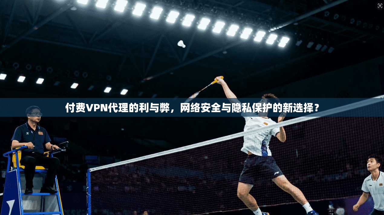 付费VPN代理的利与弊，网络安全与隐私保护的新选择？