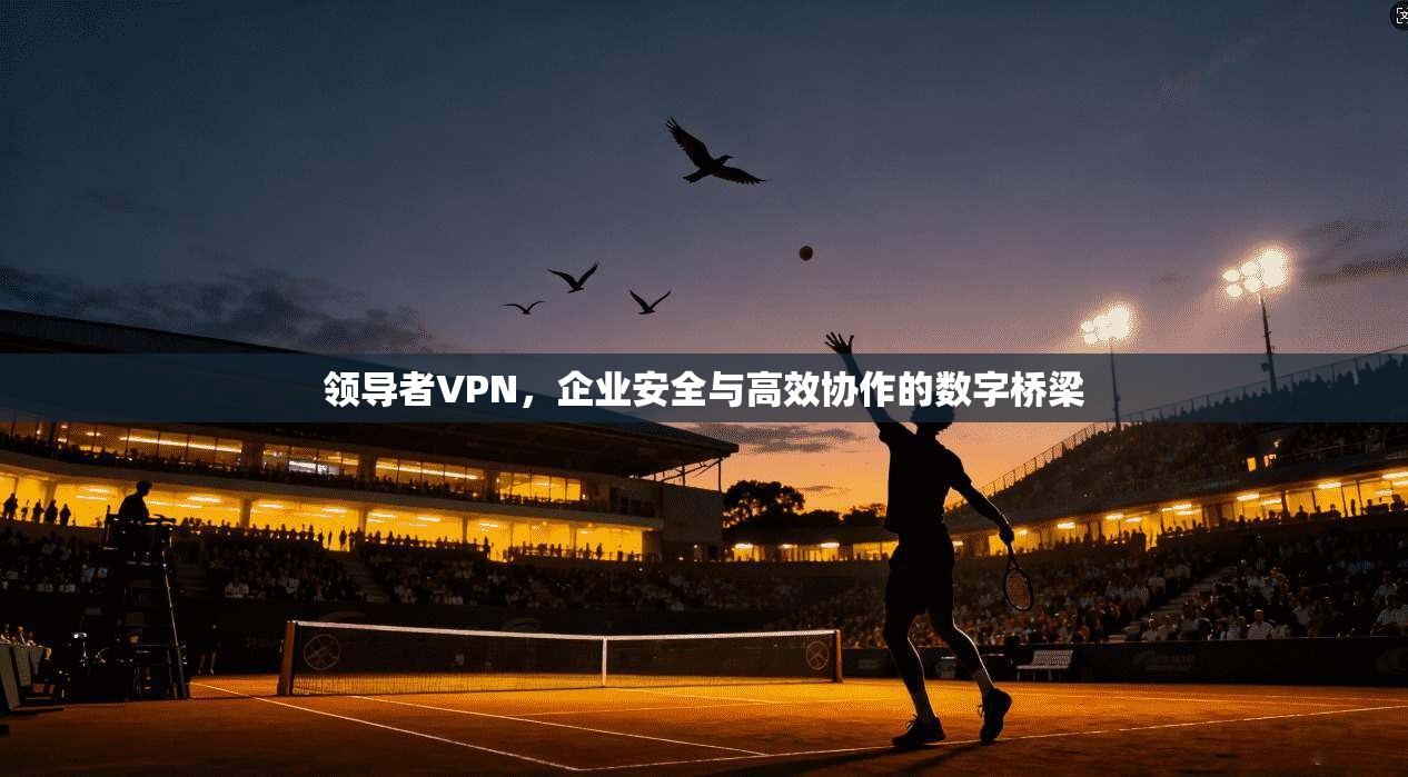 领导者VPN,企业安全与高效协作的数字桥梁 领导者VPN,企业安全与高效协作的数字桥梁