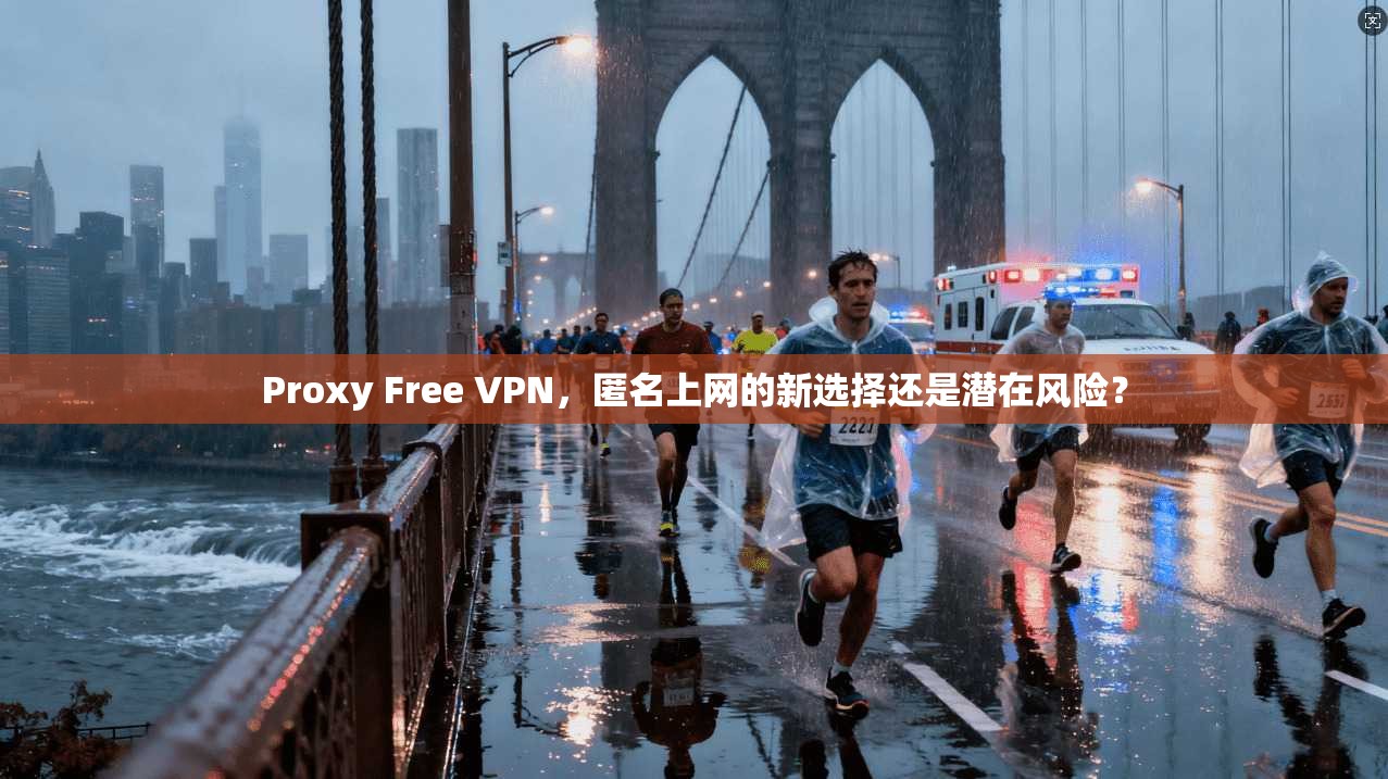 Proxy Free VPN，匿名上网的新选择还是潜在风险？