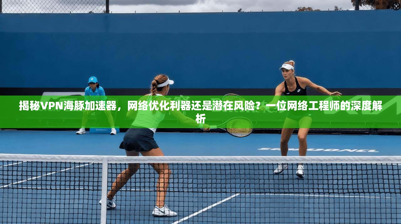 揭秘VPN海豚加速器，网络优化利器还是潜在风险？一位网络工程师的深度解析