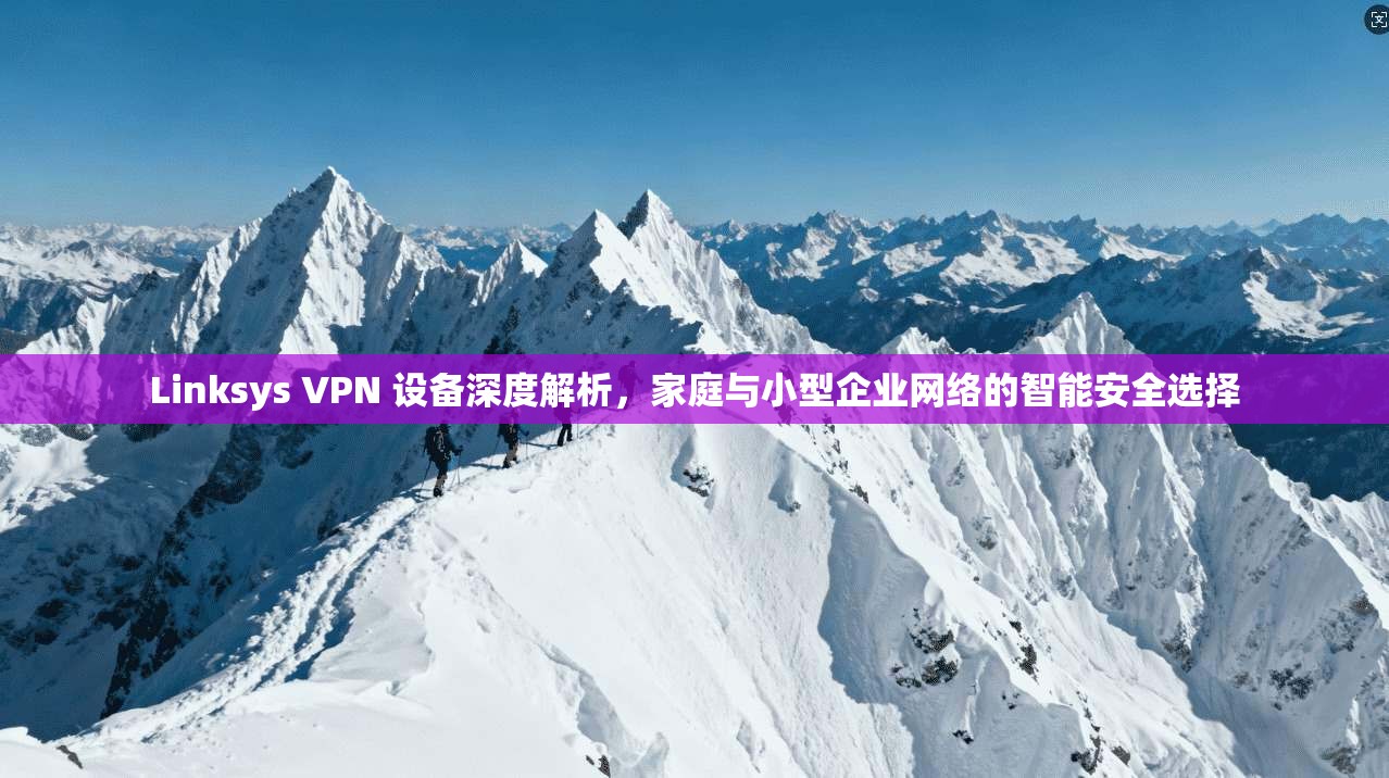 Linksys VPN 设备深度解析，家庭与小型企业网络的智能安全选择