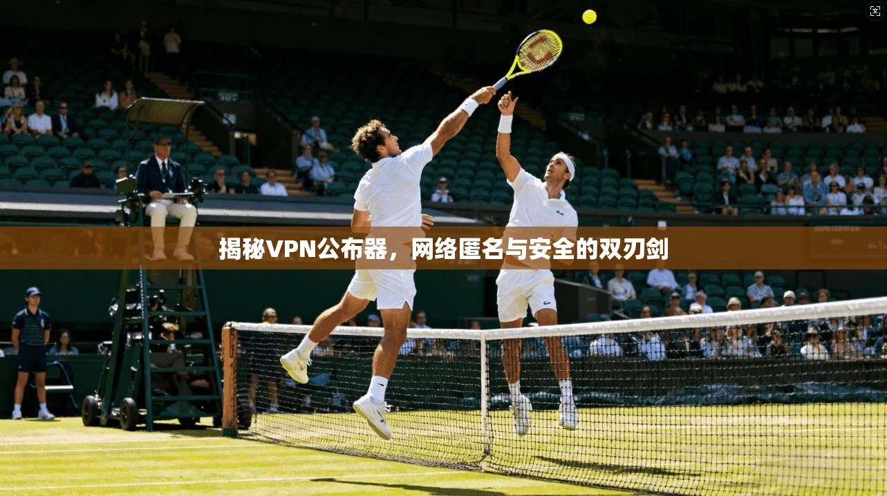 揭秘VPN公布器，网络匿名与安全的双刃剑