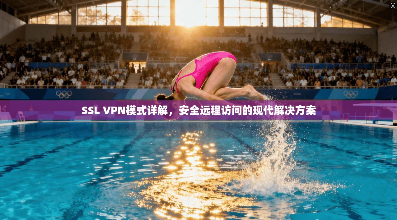 SSL VPN模式详解，安全远程访问的现代解决方案