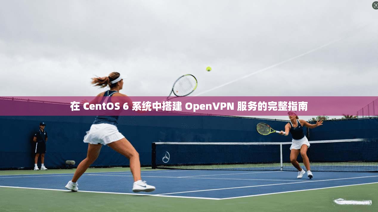 在 CentOS 6 系统中搭建 OpenVPN 服务的完整指南 在 CentOS 6 系统中搭建 OpenVPN 服务的完整指南