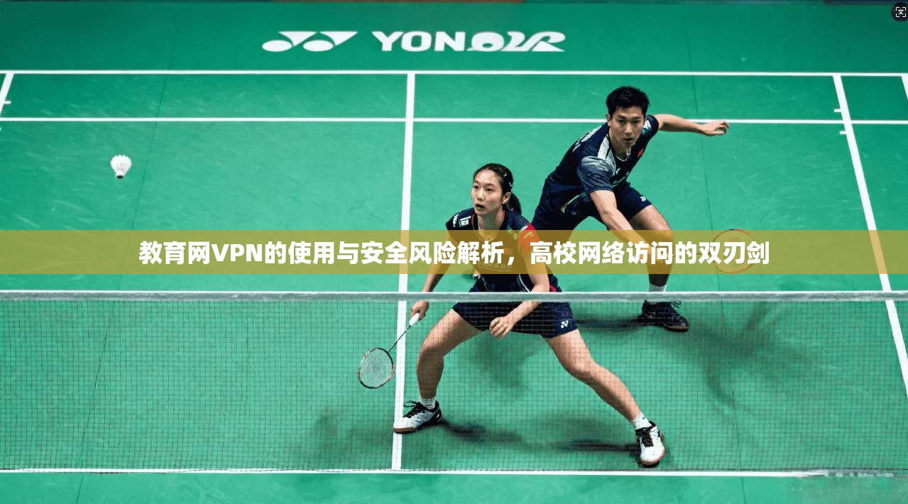 教育网VPN的使用与安全风险解析，高校网络访问的双刃剑