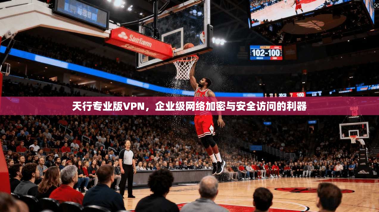 天行专业版VPN,企业级网络加密与安全访问的利器 天行专业版VPN,企业级网络加密与安全访问的利器