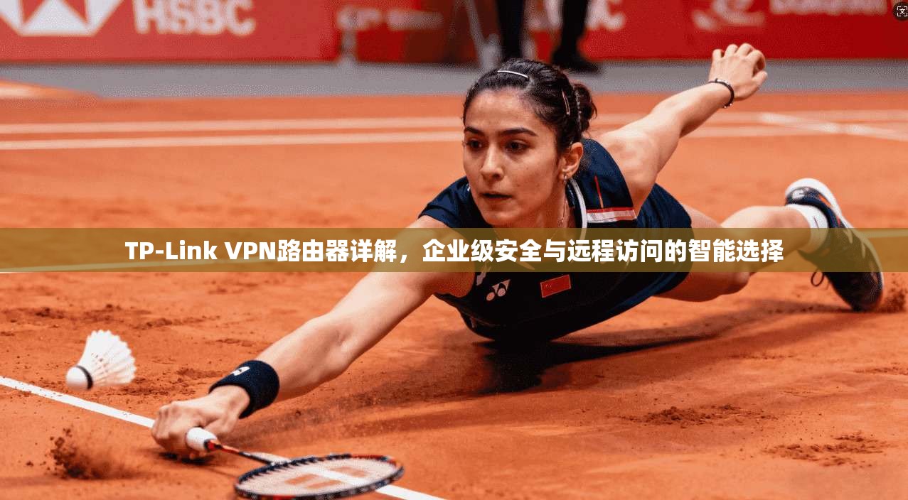 TP-Link VPN路由器详解,企业级安全与远程访问的智能选择 TP-Link VPN路由器详解,企业级安全与远程访问的智能选择