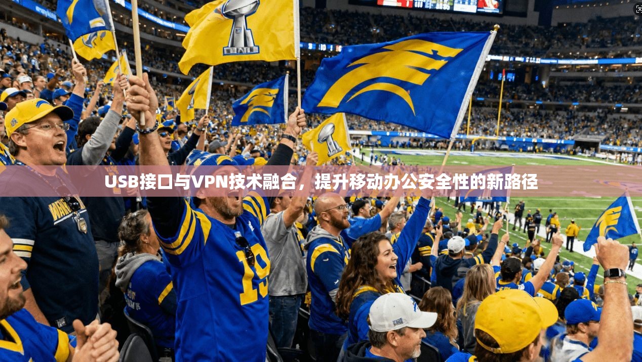 USB接口与VPN技术融合，提升移动办公安全性的新路径