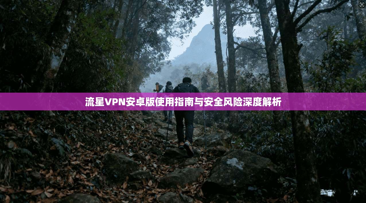 流星VPN安卓版使用指南与安全风险深度解析