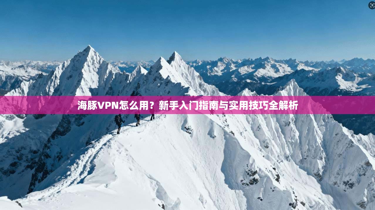 海豚VPN怎么用？新手入门指南与实用技巧全解析