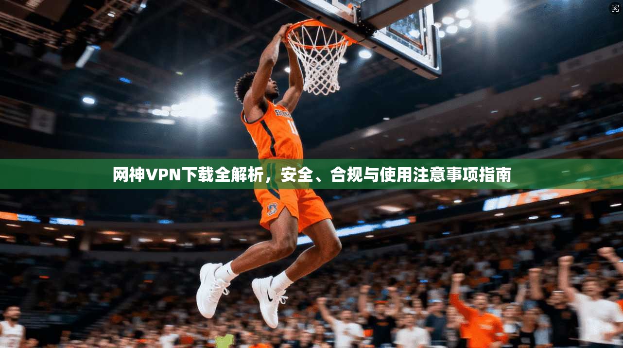 网神VPN下载全解析，安全、合规与使用注意事项指南