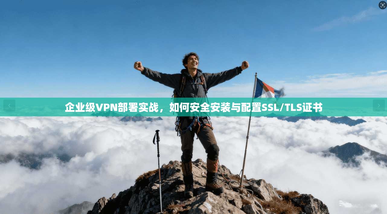 企业级VPN部署实战,如何安全安装与配置SSL/TLS证书 企业级VPN部署实战,如何安全安装与配置SSL/TLS证书