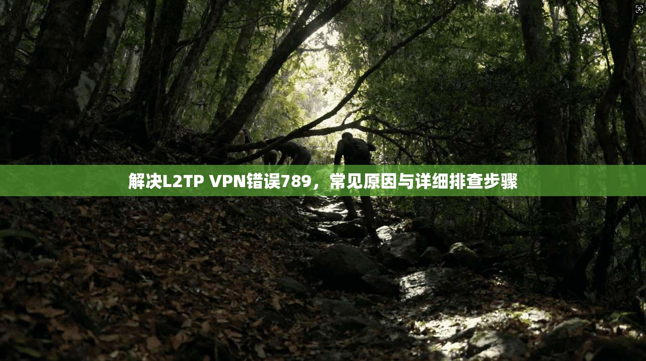 解决L2TP VPN错误789，常见原因与详细排查步骤