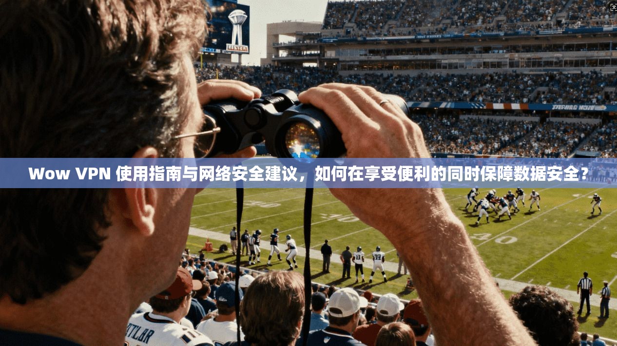 Wow VPN 使用指南与网络安全建议，如何在享受便利的同时保障数据安全？