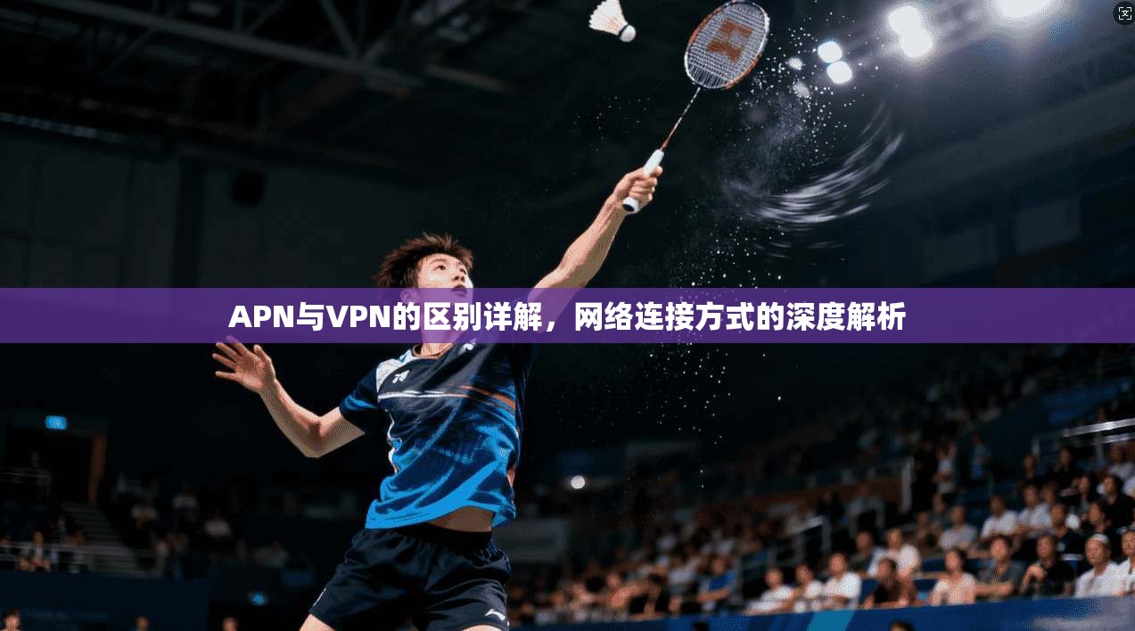 APN与VPN的区别详解,网络连接方式的深度解析 APN与VPN的区别详解,网络连接方式的深度解析