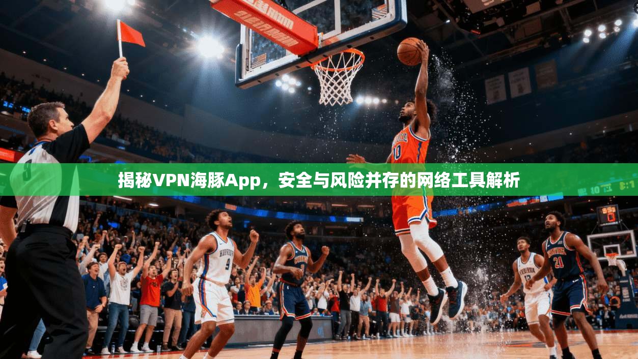 揭秘VPN海豚App，安全与风险并存的网络工具解析
