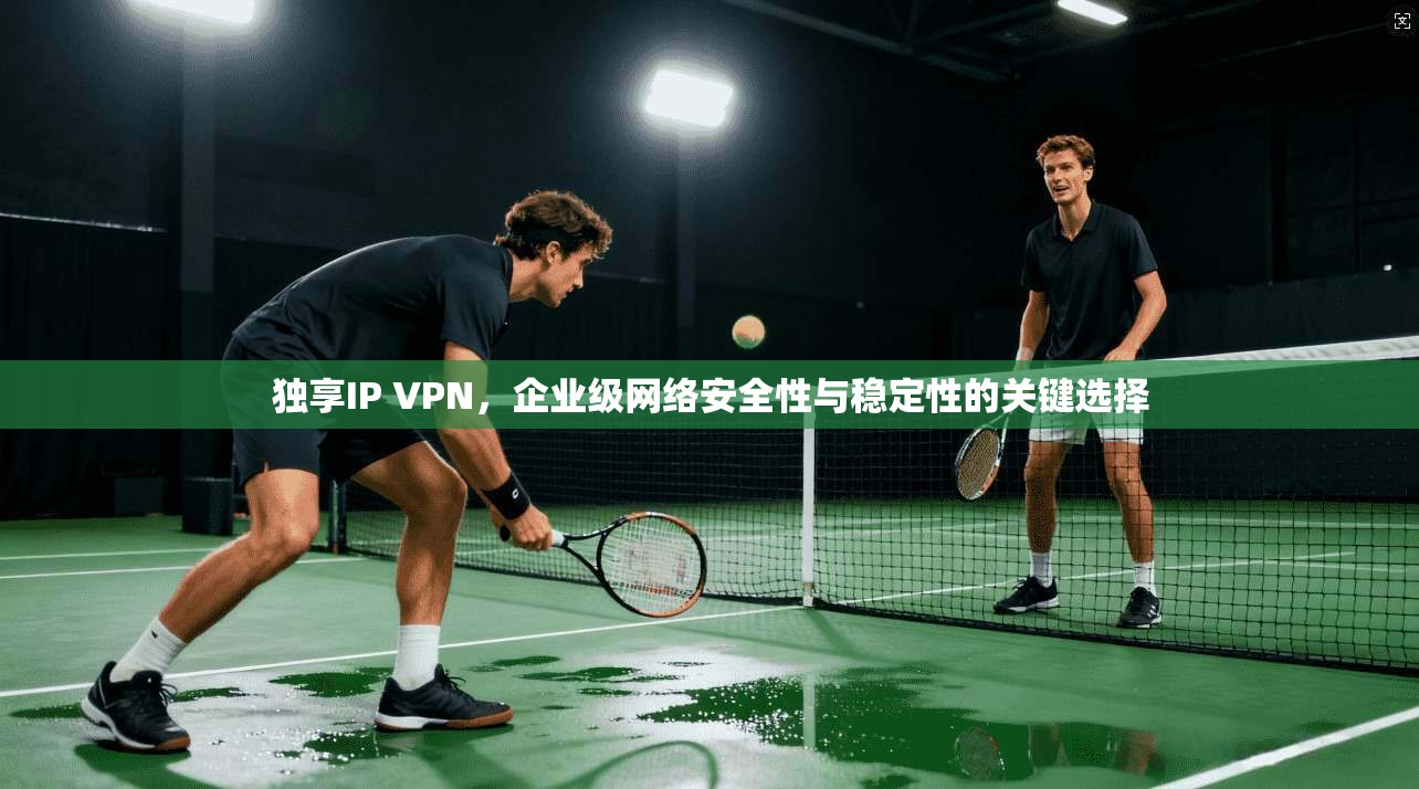 独享IP VPN，企业级网络安全性与稳定性的关键选择