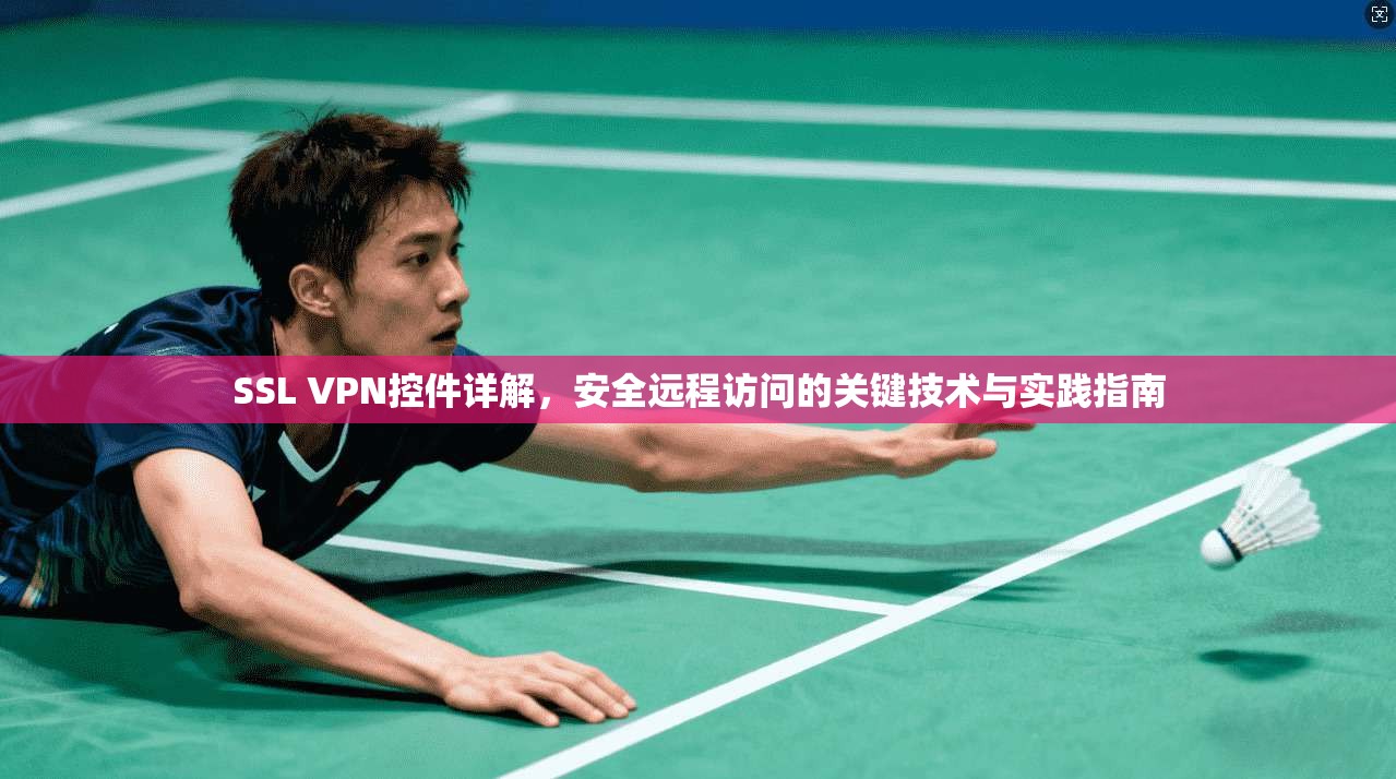 SSL VPN控件详解，安全远程访问的关键技术与实践指南