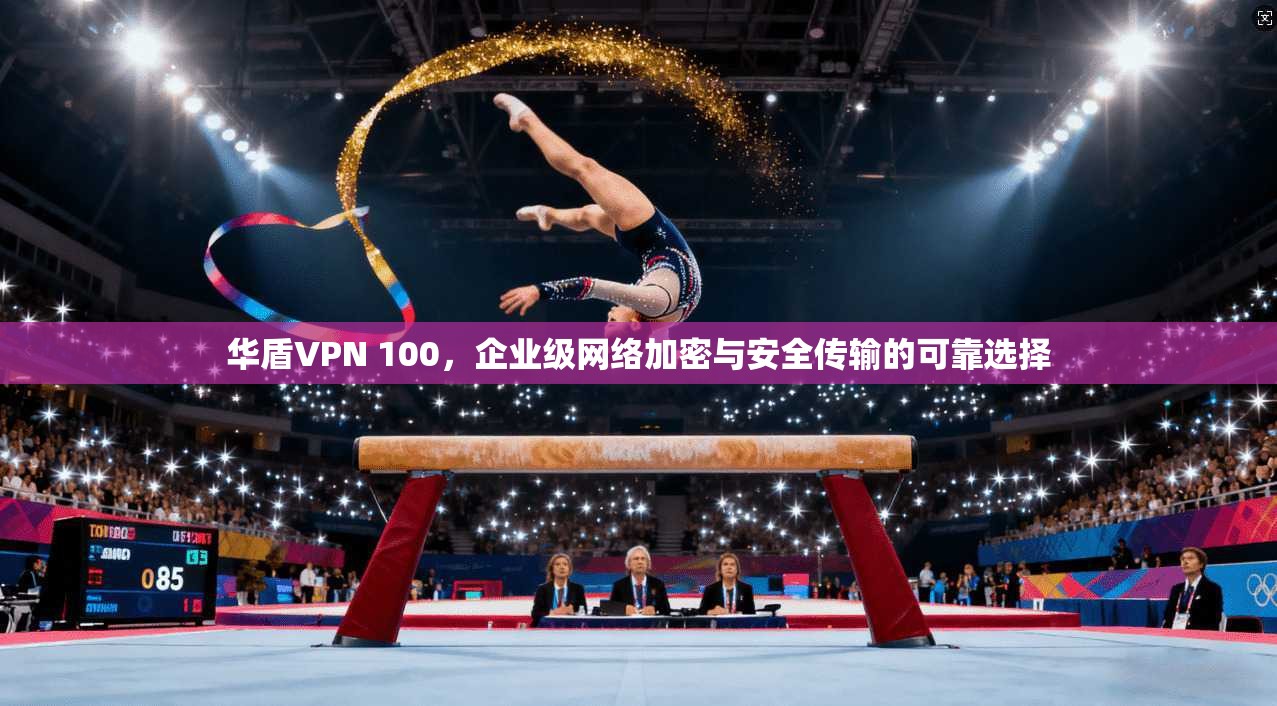 华盾VPN 100，企业级网络加密与安全传输的可靠选择