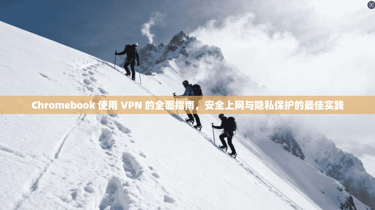 Chromebook 使用 VPN 的全面指南，安全上网与隐私保护的最佳实践