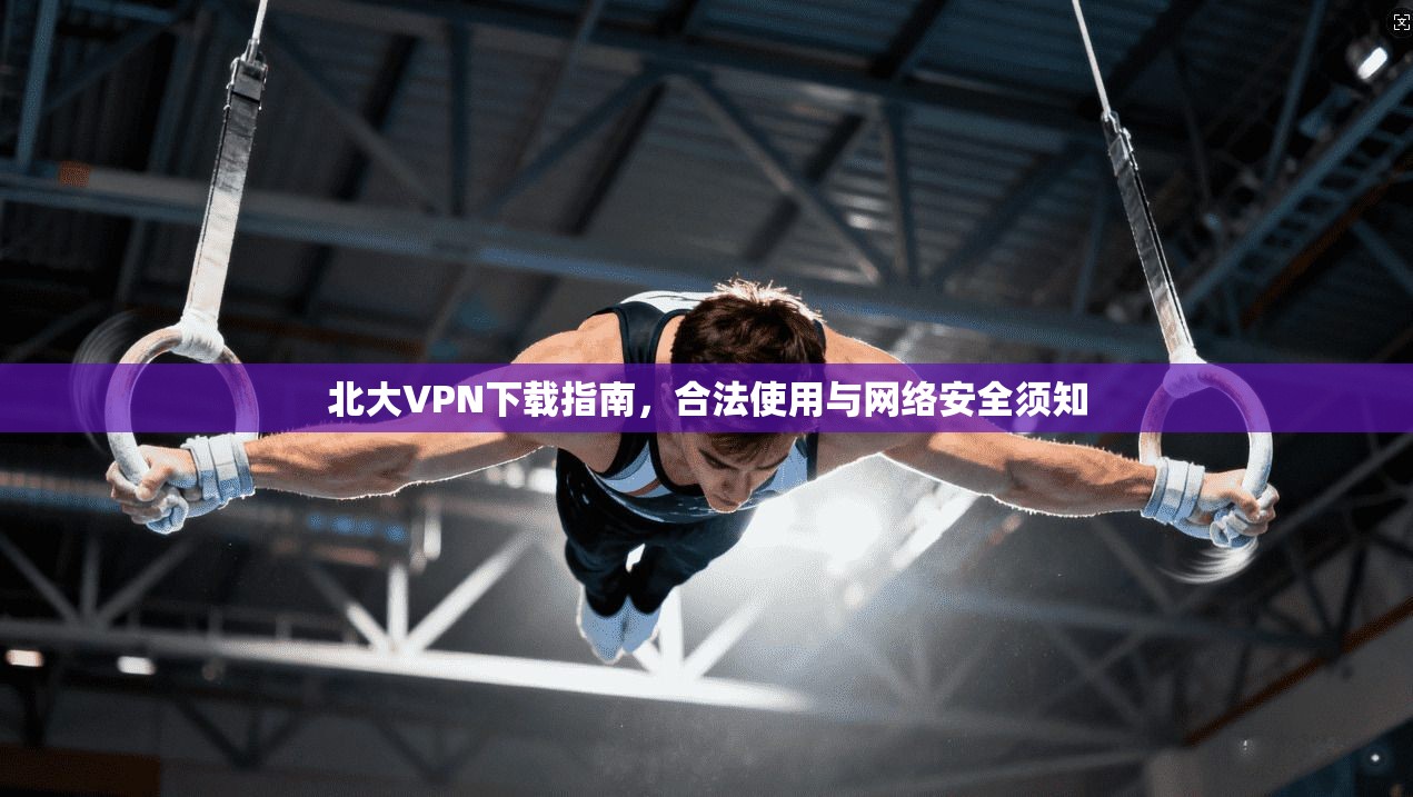 北大VPN下载指南，合法使用与网络安全须知