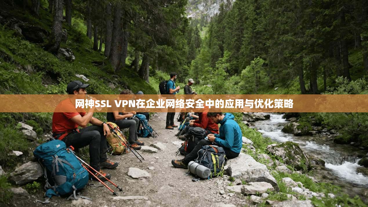 网神SSL VPN在企业网络安全中的应用与优化策略