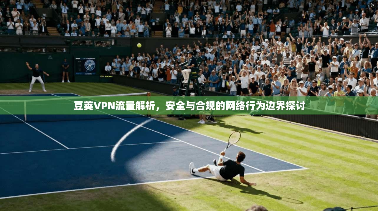 豆荚VPN流量解析，安全与合规的网络行为边界探讨