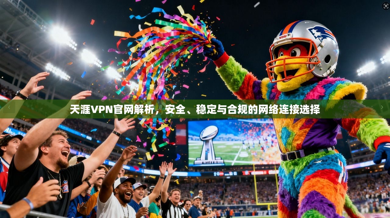 天涯VPN官网解析，安全、稳定与合规的网络连接选择