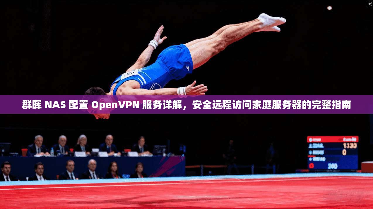 群晖 NAS 配置 OpenVPN 服务详解,安全远程访问家庭服务器的完整指南 群晖 NAS 配置 OpenVPN 服务详解,安全远程访问家庭服务器的完整指南