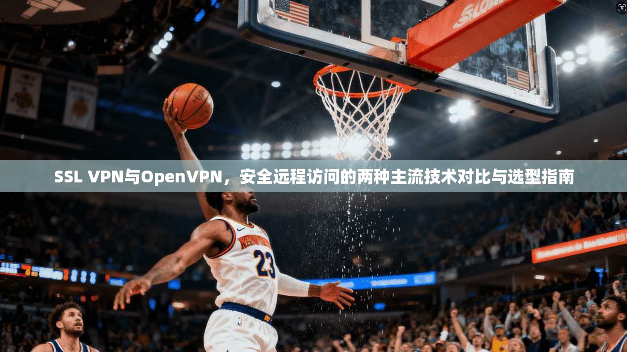 SSL VPN与OpenVPN，安全远程访问的两种主流技术对比与选型指南