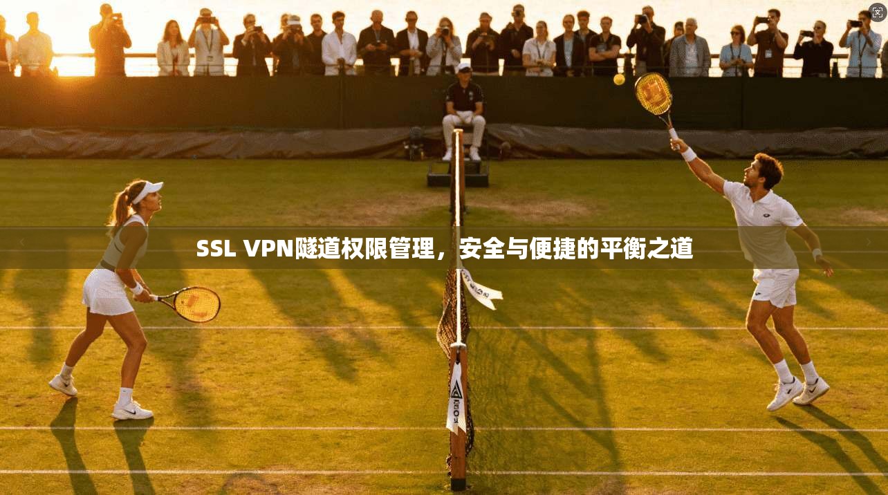 SSL VPN隧道权限管理，安全与便捷的平衡之道