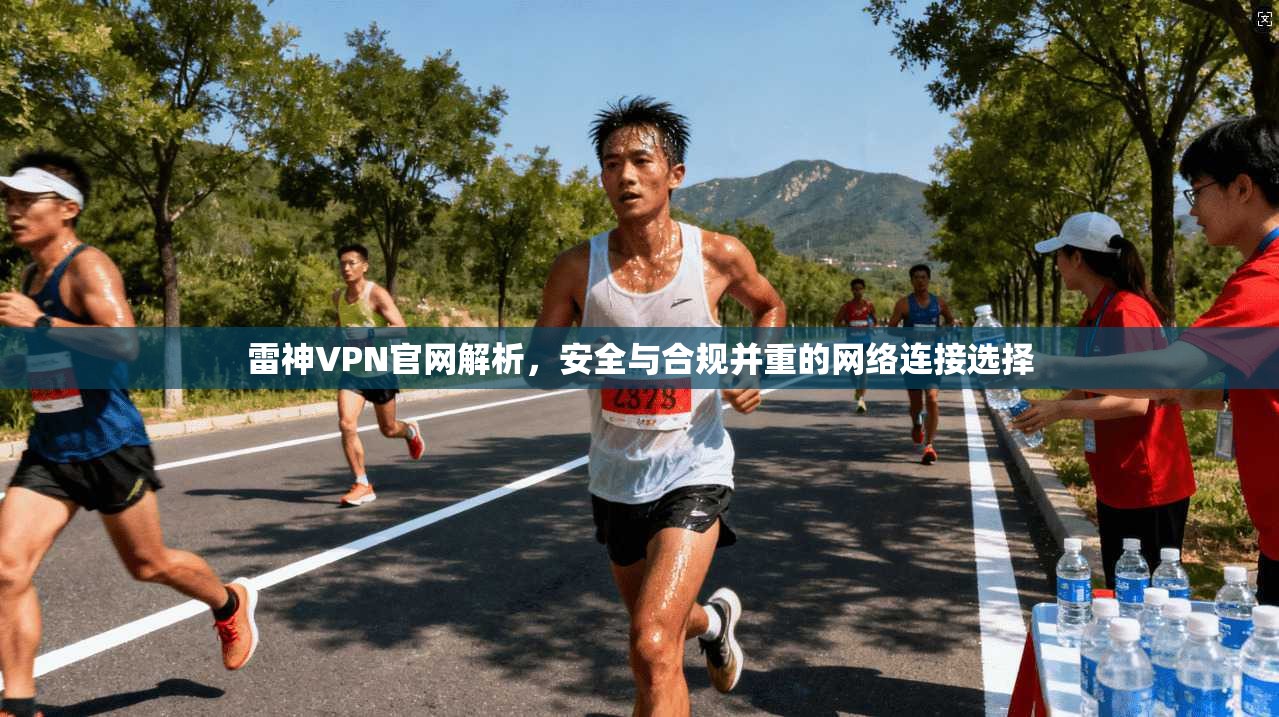 雷神VPN官网解析，安全与合规并重的网络连接选择