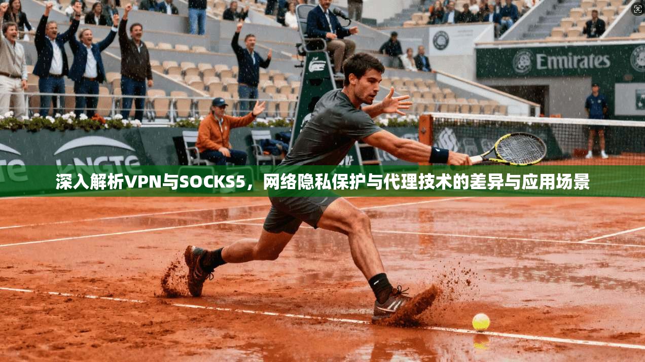 深入解析VPN与SOCKS5，网络隐私保护与代理技术的差异与应用场景